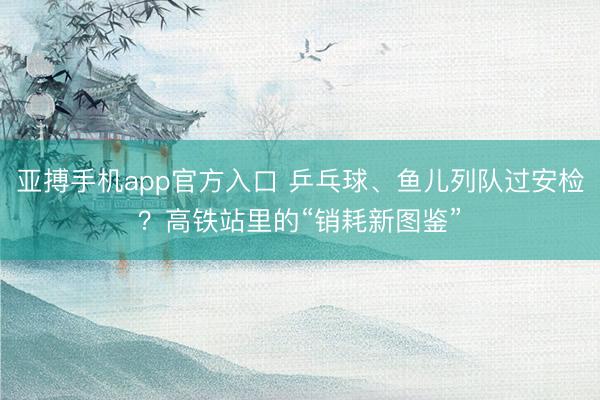 亚搏手机app官方入口 乒乓球、鱼儿列队过安检？高铁站里的“销耗新图鉴”