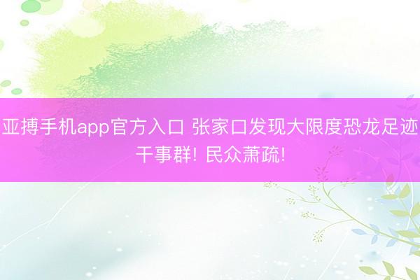 亚搏手机app官方入口 张家口发现大限度恐龙足迹干事群! 民众萧疏!