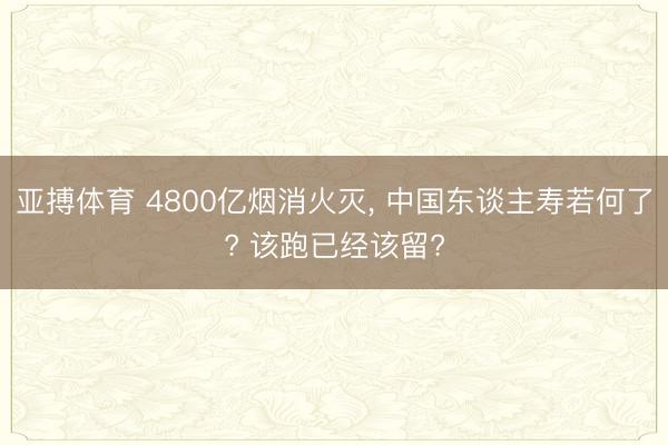 亚搏体育 4800亿烟消火灭， 中国东谈主寿若何了? 该跑已经该留?