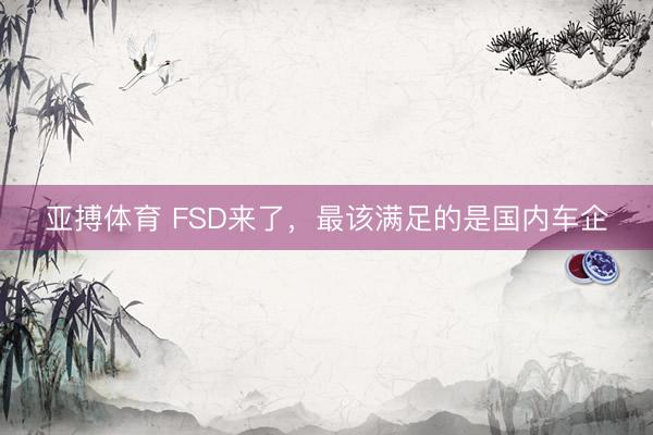 亚搏体育 FSD来了,最该满足的是国内车企