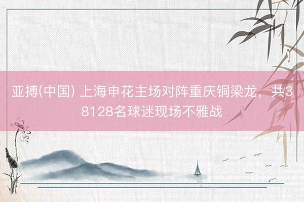 亚搏(中国) 上海申花主场对阵重庆铜梁龙，共38128名球迷现场不雅战