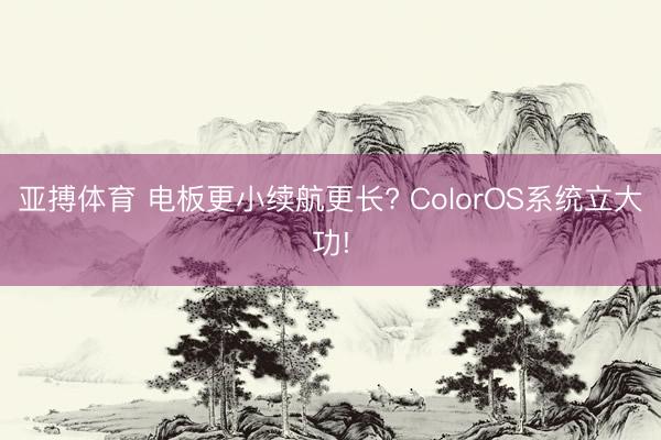 亚搏体育 电板更小续航更长? ColorOS系统立大功!
