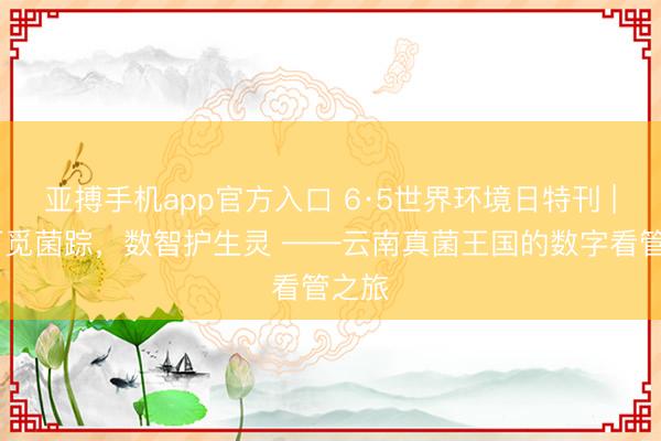 亚搏手机app官方入口 6·5世界环境日特刊 | 林下觅菌踪,数智护生灵 ——云南真菌王国的数字看管之旅