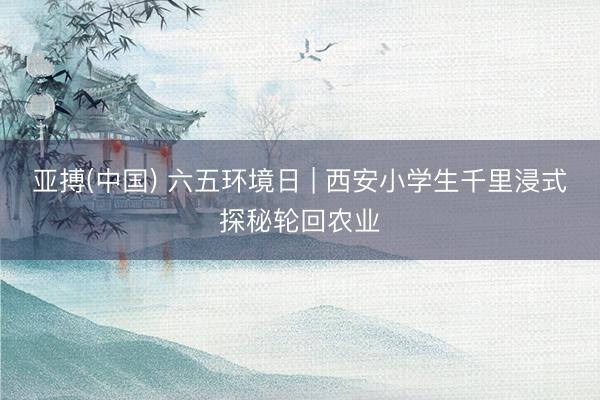 亚搏(中国) 六五环境日 | 西安小学生千里浸式探秘轮回农业