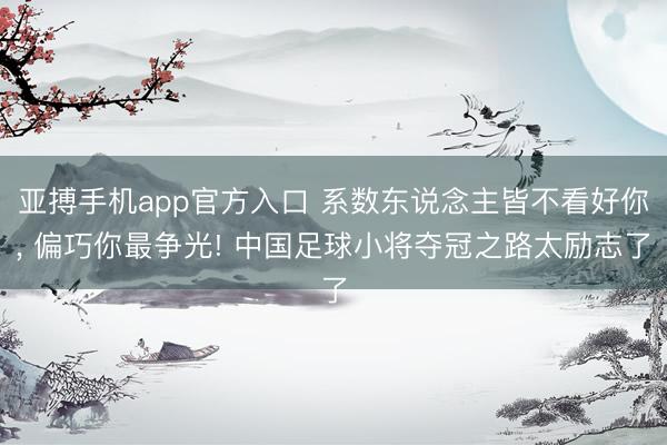 亚搏手机app官方入口 系数东说念主皆不看好你， 偏巧你最争光! 中国足球小将夺冠之路太励志了