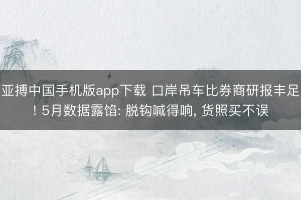 亚搏中国手机版app下载 口岸吊车比券商研报丰足! 5月数据露馅: 脱钩喊得响, 货照买不误