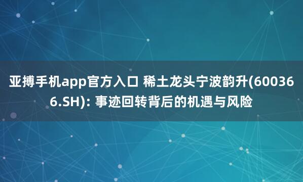 亚搏手机app官方入口 稀土龙头宁波韵升(600366.SH): 事迹回转背后的机遇与风险
