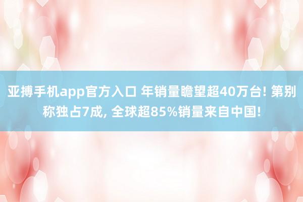 亚搏手机app官方入口 年销量瞻望超40万台! 第别称独占7成， 全球超85%销量来自中国!